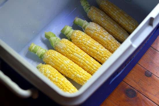 Cooler Corn