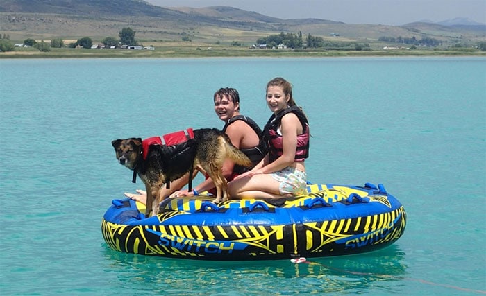 11 Reasons Why You Should Own or Buy A Pontoon Boat ...