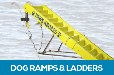 Doggy ramps and ladders