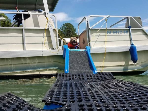 How to Make a Dog Ramp for a Pontoon Boat: 7 Ideas for a Ladder