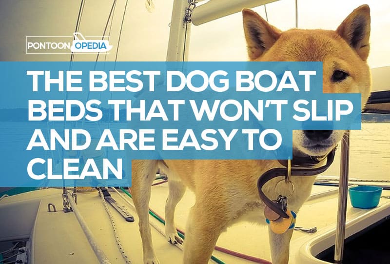 The Best Boat Dog Beds That Won't Slip or Slide on the Waves