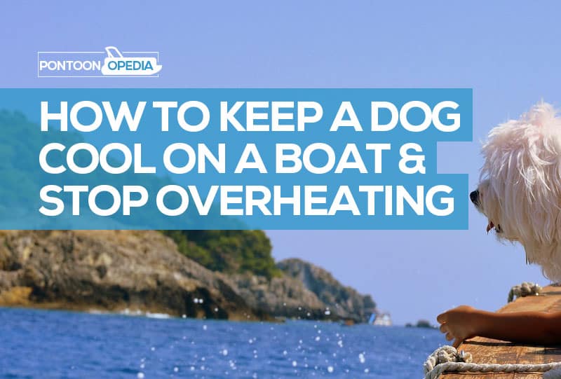 how to keep a dog cool on a boat