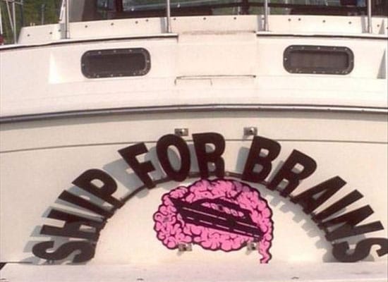 Ship for Brains