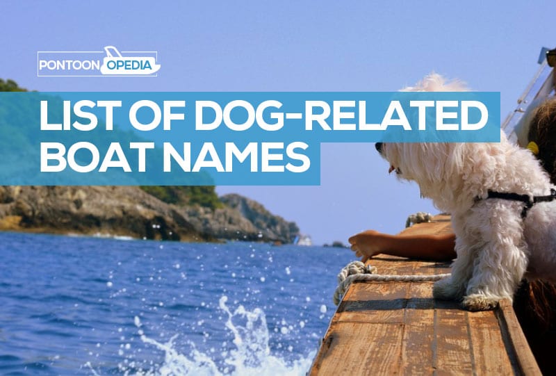 sailboat dog names