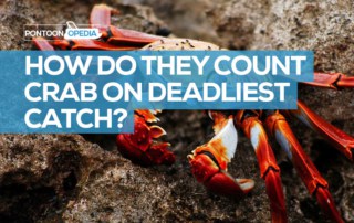 how do they count crab on deadliest catch