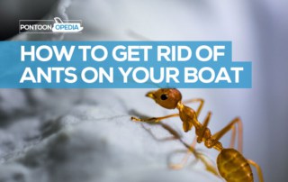 how to get rid of ants on a boat