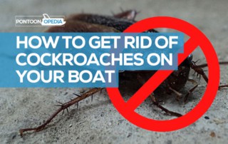 How to Get Rid of Cockroaches on a Boat