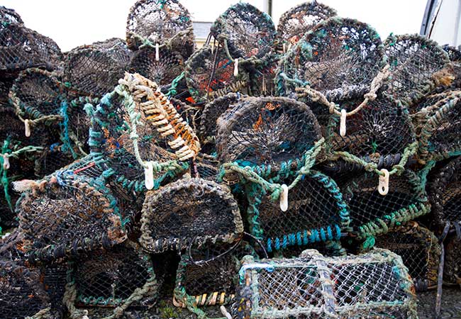 how much do lobster fishermen make