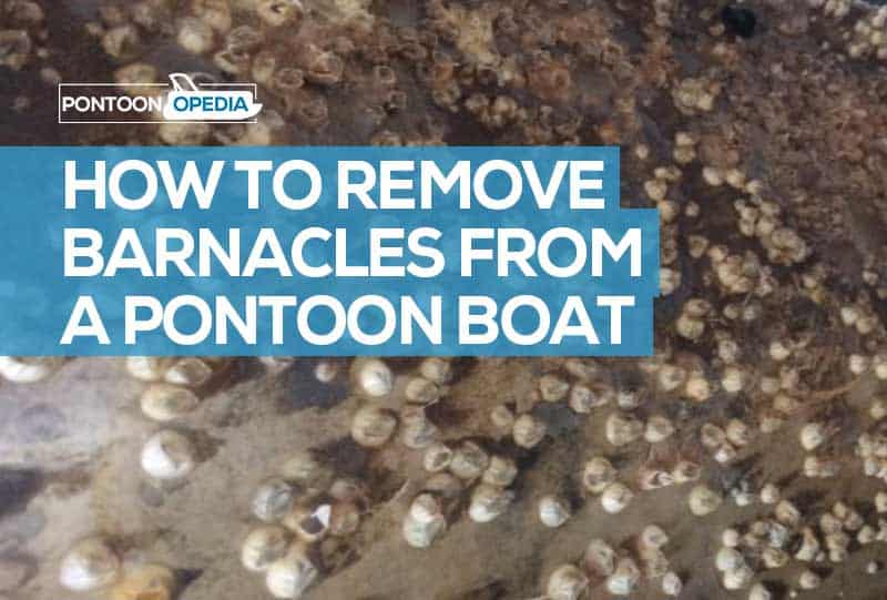 How to Remove Barnacles from a Pontoon Boat