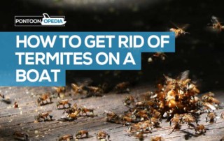 how to get rid of termites on a boat