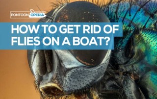 How to Get Rid of Flies on a Boat