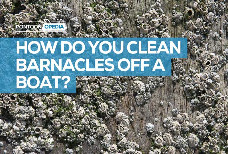 how do you clean barnacles off a boat